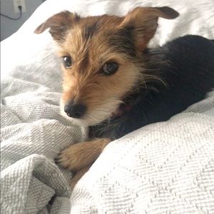 Meet your Posher, Kelly